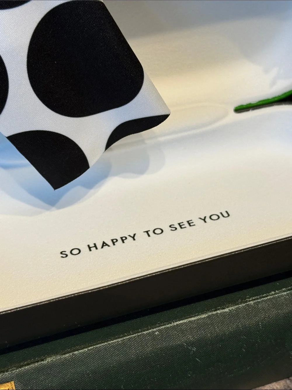 kate spade Green and Black Hard Eyeglass Case